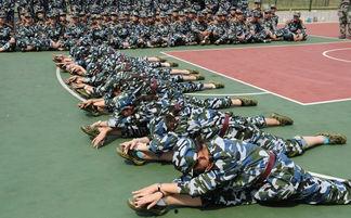 军训女生舞蹈吃瓜本人,揭秘军营中的青春风采与欢乐瞬间