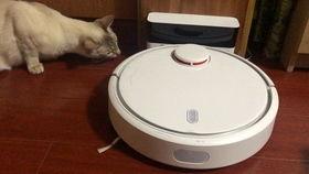 扫地吃瓜完结,一场笑料百出的奇幻冒险之旅