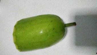 浦瓜怎么吃,探索美味与营养的完美结合