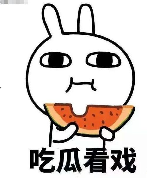 猪哥吃瓜,揭秘娱乐圈背后的秘密与八卦