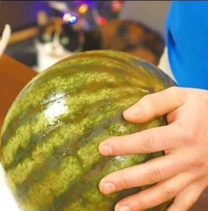 吃瓜不能停头像,网络红人背后的故事与影响力