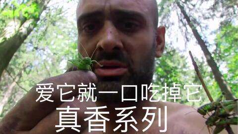 挨饿德吃瓜,揭秘饥饿与满足的奇妙旅程